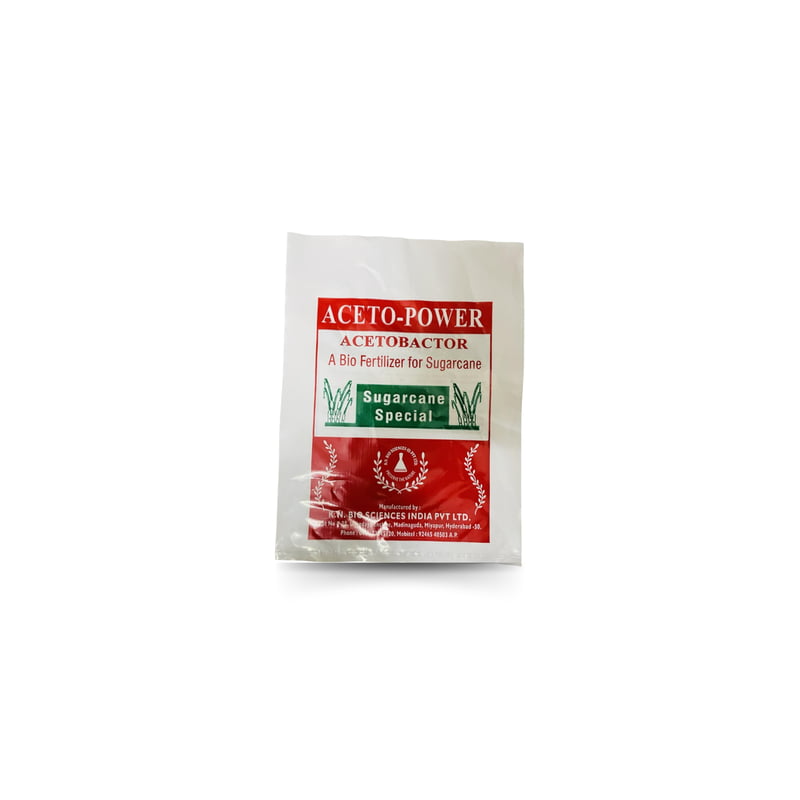 Nitrogen-Fixing Bacteria for Sugarcane Crops | Aceto Power | Acetobacter Nitrogen-Fixing Bacteria for Sugarcane Crops | Aceto Power | Acetobacter