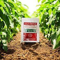 Nitrogen-Fixing Bacteria for Sugarcane Crops | Aceto Power | Acetobacter Nitrogen-Fixing Bacteria for Sugarcane Crops | Aceto Power | Acetobacter