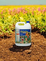 The Best Liquid Seaweed Extract Buy Online | Algistim The Best Liquid Seaweed Extract Buy Online | Algistim