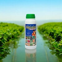 The Best Liquid Seaweed Extract Buy Online | Algistim The Best Liquid Seaweed Extract Buy Online | Algistim
