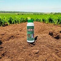 Anoka (Combination of Trichoderma Viride and Pseudomonas) Anoka (Combination of Trichoderma Viride and Pseudomonas)