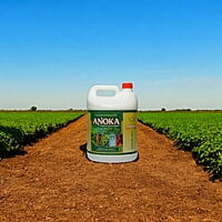 Anoka (Combination of Trichoderma Viride and Pseudomonas) Anoka (Combination of Trichoderma Viride and Pseudomonas)