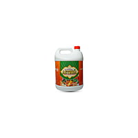 Astra - Best Bacillus Species - Boost Crop Resistance & Control Diseases with PGPR Astra - Best Bacillus Species - Boost Crop Resistance & Control Diseases with PGPR