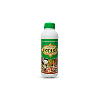 Astra - Best Bacillus Species - Boost Crop Resistance & Control Diseases with PGPR Astra - Best Bacillus Species - Boost Crop Resistance & Control Diseases with PGPR