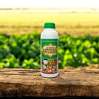 Astra - Best Bacillus Species - Boost Crop Resistance & Control Diseases with PGPR Astra - Best Bacillus Species - Boost Crop Resistance & Control Diseases with PGPR