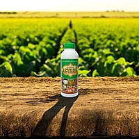 Astra - Best Bacillus Species - Boost Crop Resistance & Control Diseases with PGPR Astra - Best Bacillus Species - Boost Crop Resistance & Control Diseases with PGPR