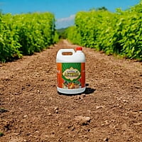 Astra - Best Bacillus Species - Boost Crop Resistance & Control Diseases with PGPR Astra - Best Bacillus Species - Boost Crop Resistance & Control Diseases with PGPR