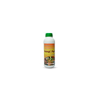 Azospipower | Best for Nitrogen Fixing Bacteria Azospipower | Best for Nitrogen Fixing Bacteria