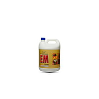 EM Solution: Protect Crops/plants from fungal and bacterial diseases EM Solution: Protect Crops/plants from fungal and bacterial diseases
