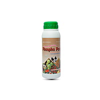 Phospho Power | Best Phosphate Solubilizing Bacteria Phospho Power | Best Phosphate Solubilizing Bacteria