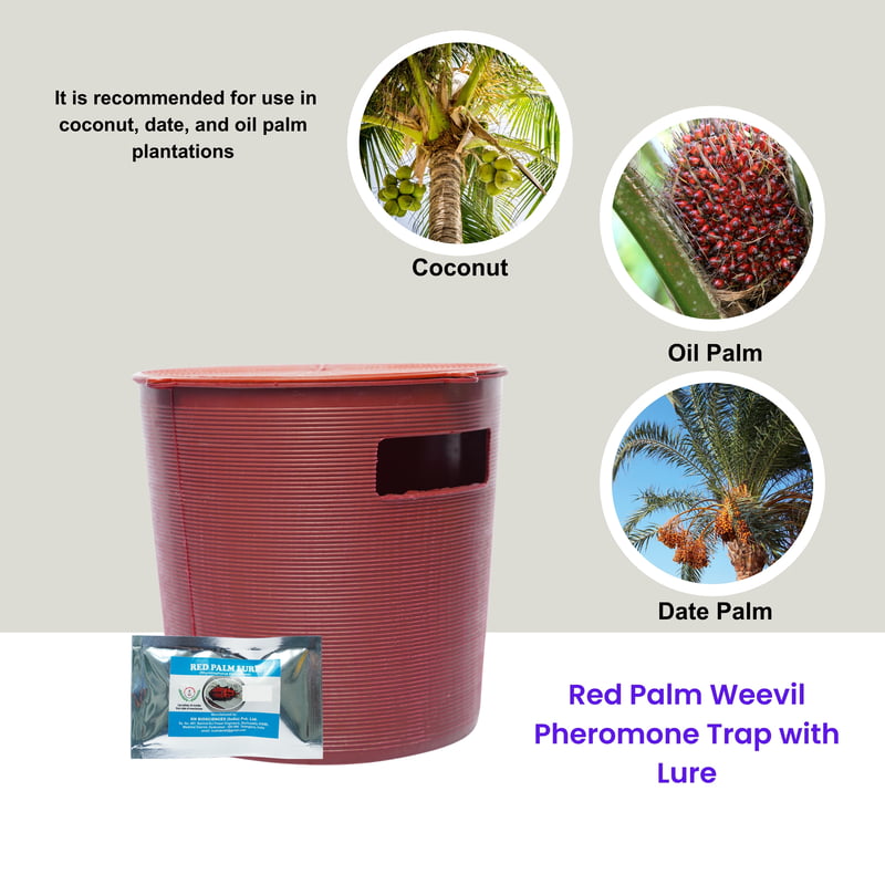 Red Palm Weevil Pheromone Trap with Lure Red Palm Weevil Pheromone Trap with Lure