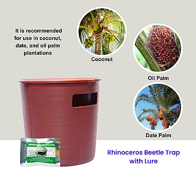 Rhinoceros Beetle Trap with Lure
