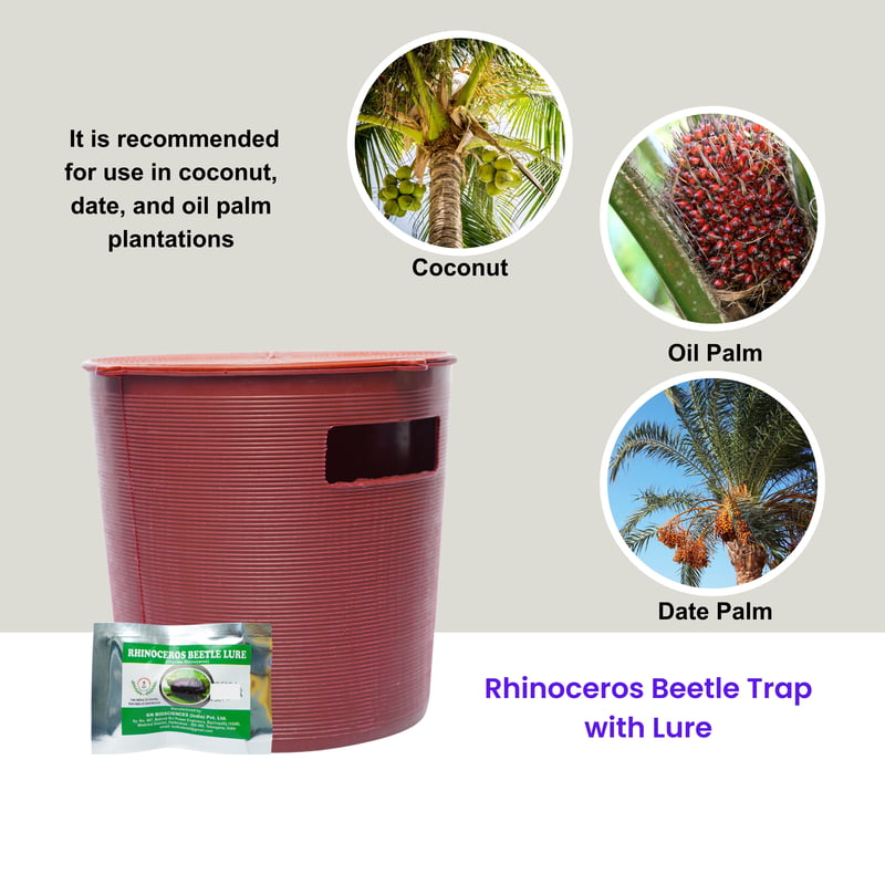 Rhinoceros Beetle Trap with Lure Rhinoceros Beetle Trap with Lure