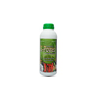 K Power | Potash mobilizing bacteria K Power | Potash mobilizing bacteria