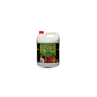 K Power | Potash mobilizing bacteria K Power | Potash mobilizing bacteria