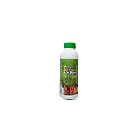 K Power | Potash mobilizing bacteria K Power | Potash mobilizing bacteria