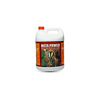 Meta power | The Best Powerful Soil Termites Control - Metarhizium anisoplea Meta power | The Best Powerful Soil Termites Control - Metarhizium anisoplea