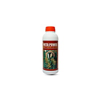 Meta power | The Best Powerful Soil Termites Control - Metarhizium anisoplea Meta power | The Best Powerful Soil Termites Control - Metarhizium anisoplea