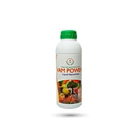 VAM Power | Best Mycorrhizal fungi in India VAM Power | Best Mycorrhizal fungi in India