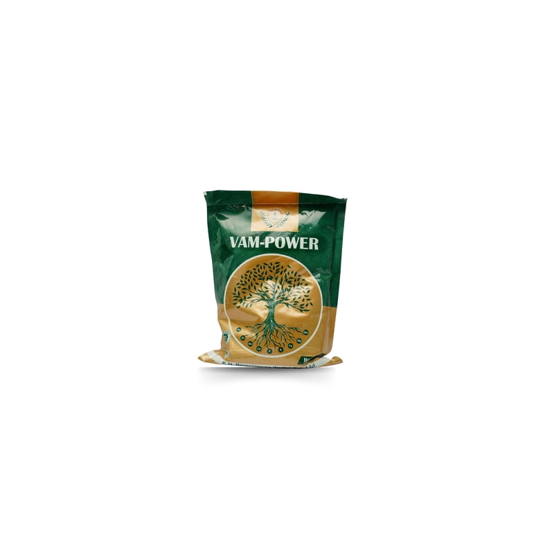 VAM Power | Best Mycorrhizal fungi in India VAM Power | Best Mycorrhizal fungi in India