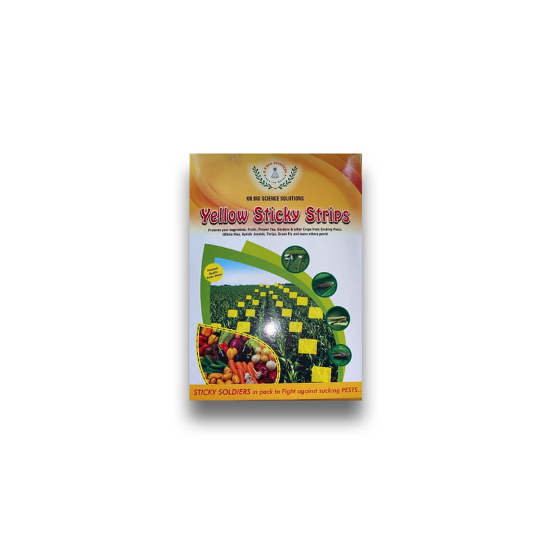 Yellow sticky traps - IPM Practices Yellow sticky traps - IPM Practices